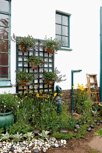 Flower bed with pebbles and flowerpots hanging on DIY trellis on facade