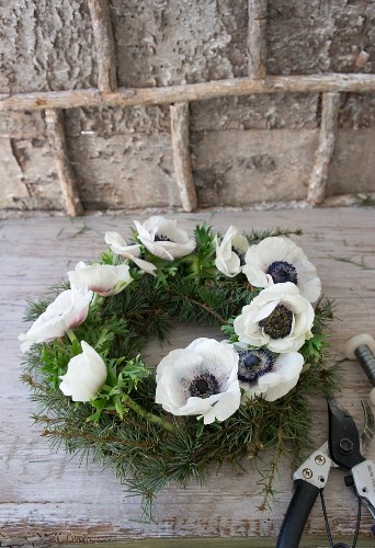 Wreath of larch twigs and white anemones