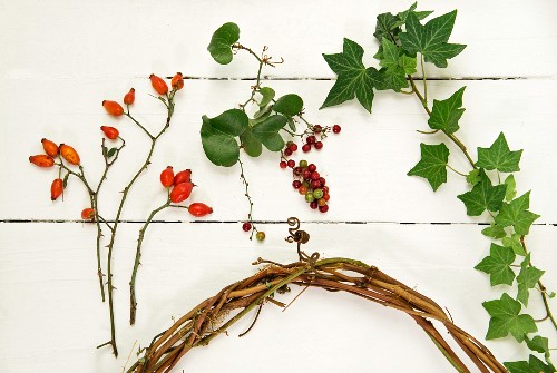 Rose hips, berries, ivy tendrils and willow wreath on white surface
