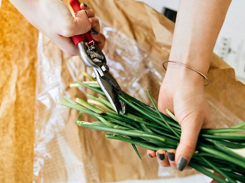 Trimming flower stems with secateurs