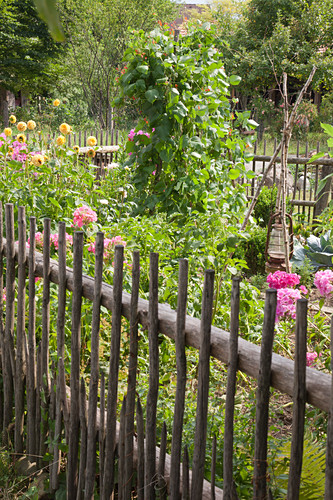 Eingezaunter Garten Mit Blumen Und Bild Kaufen 12431830 Living4media