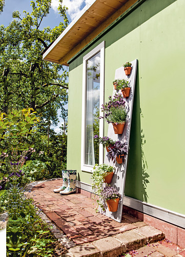 Potted plants mounted on panel leaning against green exterior wall in garden