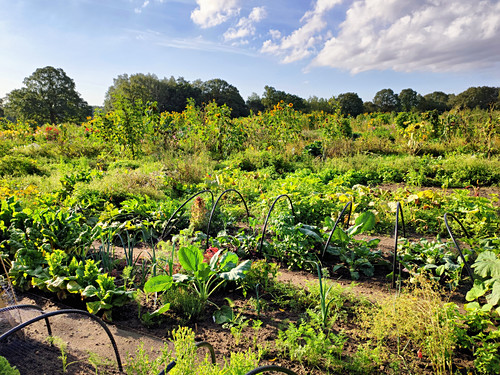 Landwirtschaft Bilder – Interior Design-Fotos kaufen living4media