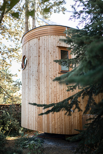 Naturfarbe Bilder – Interior Design-Fotos kaufen living4media