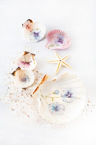 Decorating seashells with napkin decoupage violas