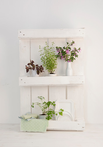 Weißes Küchenregal im Shabby Chic aus … – Bild kaufen Weißes Küchenregal im Shabby Chic aus … – Bild kaufen