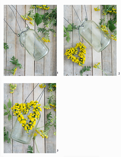 Making a lantern from a jar with a heart from tansy (Tanacetum vulgare)