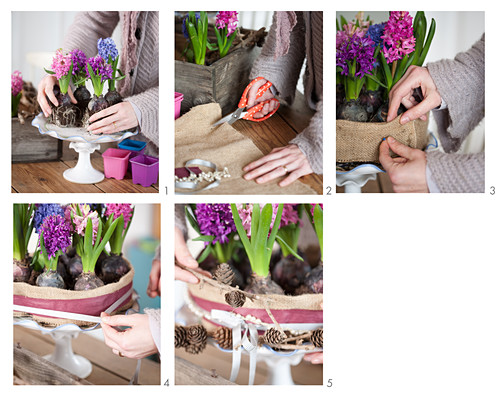 Instruction for making cake-shaped arrangement of hyacinths