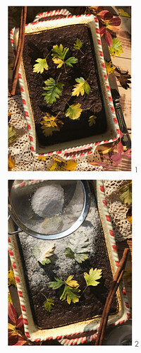 Decorate a chocolate cake in autumn