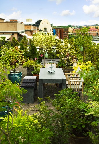 Dachterrasse Mit Pflanzen Tisch Bild Kaufen 368154 Living4media