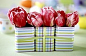 Tulips in tin boxes
