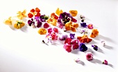 Assorted edible flowers