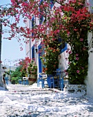 Mediterranean atmosphere with lavishly flowering bougainvillea in front of a street café in Greece