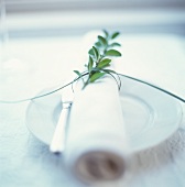 Knife and white fabric napkin with herb sprig