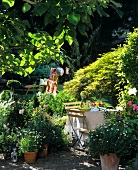 View into garden with laid table, lounger in background