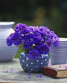 Bunch of cornflowers in spotted vase