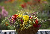 Basket of colourful summer flowers, Cosmos, poppies etc.