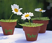 Imaginative place-cards: marguerite in terracotta pot with name