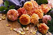 Still life with 'Alchymist' roses