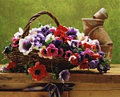 Anemones in a basket