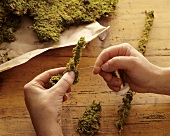 Making decorations with moss
