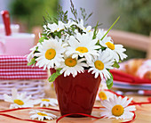 Marguerites and grasses in red glass vase