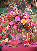 Chrysanthemums, Amaranthus, Cotoneaster and ox-eye daisies