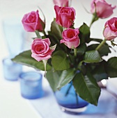 Pink roses in blue vase