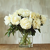White peonies in a vase
