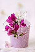 Purple sweet peas in vase