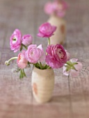 Rosa Ranunkeln in kleiner Vase