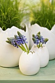 Easter decoration: grape hyacinths in china eggs