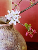 Apple blossom in a stone vase