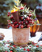 Advent arrangement of rose hips and bay leaves
