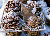 Pine cones in hoar frost and iron star