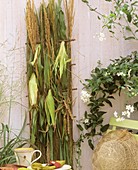 Wall trellis with corn and Chinese silver grass