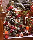 Mini-Christmas tree on garden bench