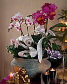 Bowl of orchids