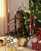 Kerzenständer mit Efeu im Advent