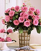 A vase of pink roses