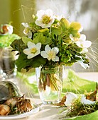 Spring posy of Christmas roses