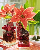 Poinsettias in glass vases with berries and cones