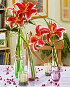 Lilies in glass vases