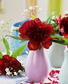 Rote Pfingstrosen mit Schleierkraut in pastellfarbenen Vasen