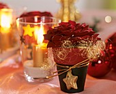 Red rose with angel's hair and gold star
