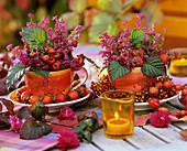 Cups, filled with rose hips and heather