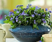 Forget-me-nots as table decoration