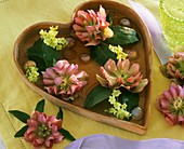 Lenten roses and Viburnum in heart-shaped bowl