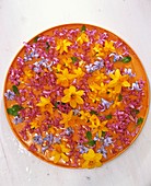 Narcissi and hyacinths on orange plate