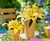 Yellow lilies as table decoration